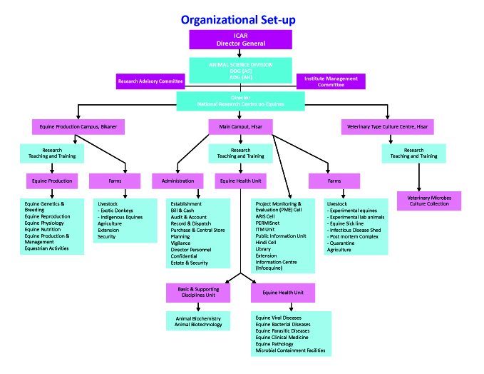 Organizational Setup